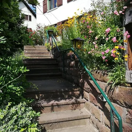 Appartement La Casita Linda à Eberbach  Extérieur photo