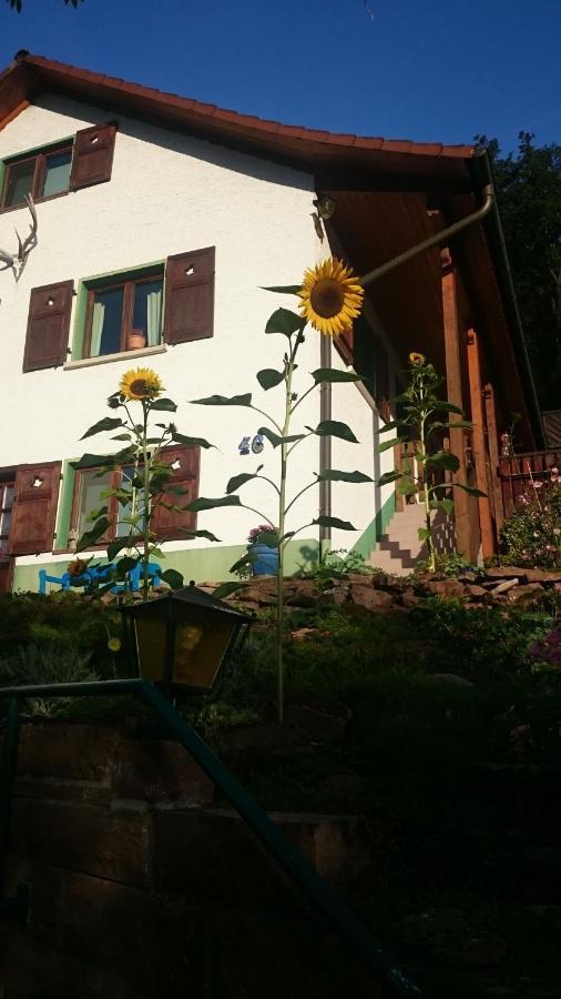 La Casita Linda Eberbach (Rhein-Neckar-Kreis)