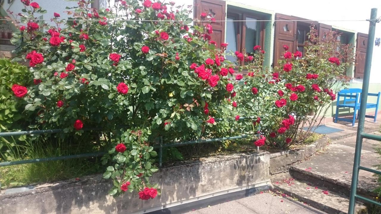 Appartement La Casita Linda Eberbach (Rhein-Neckar-Kreis)