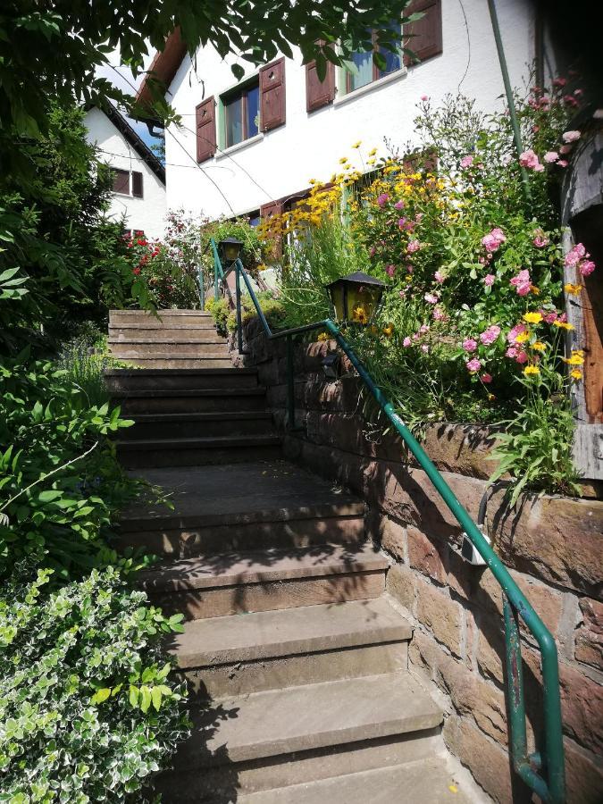 La Casita Linda Appartement